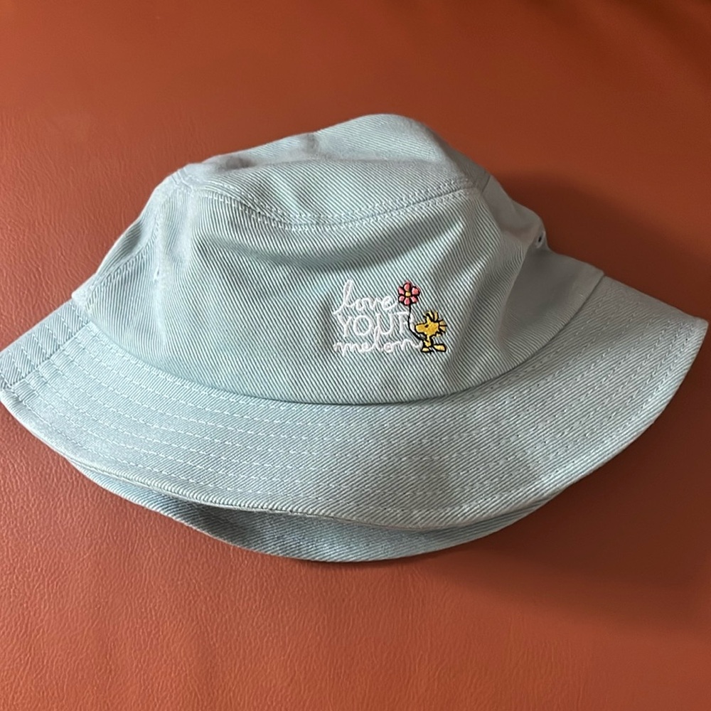 Retired Love Your Melon X Peanuts hat.